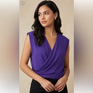 Olivaceous Deep Purple V-Neck Blouse